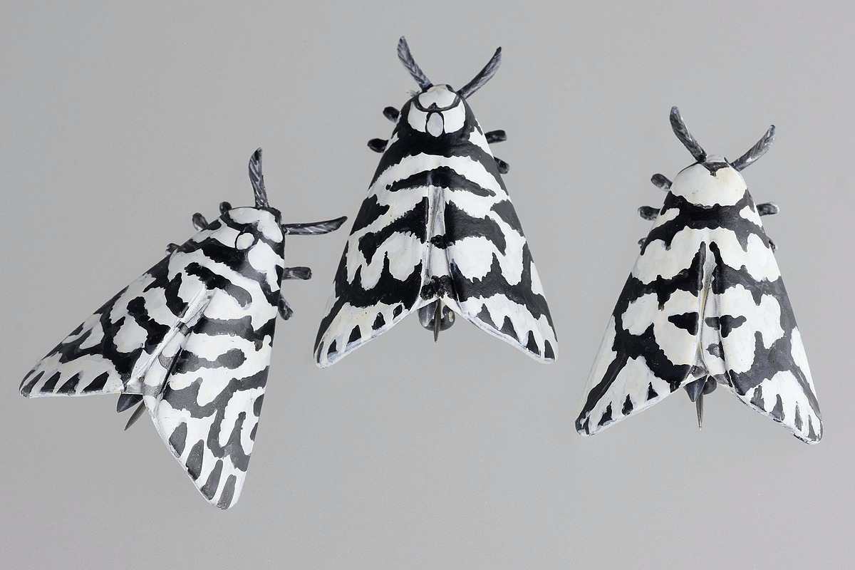 Tania Patterson, Lichen Moth Brooches Tania Patterson, Lichen Moth Brooches